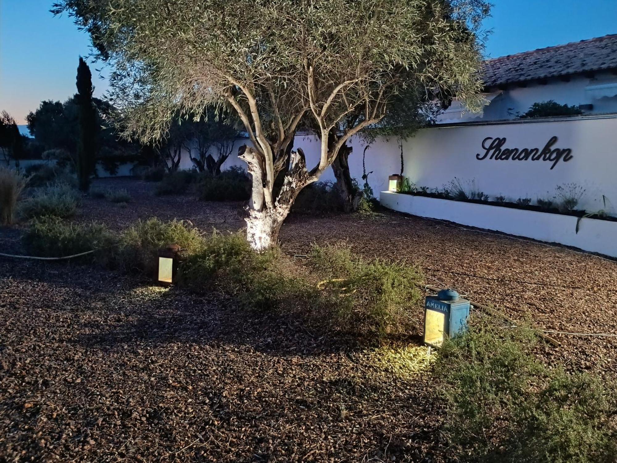 Finca Shenonkop Hotel Rural Navalmoral de la Mata Kültér fotó